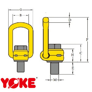 Yellow Points (YP)-8-211(YP)