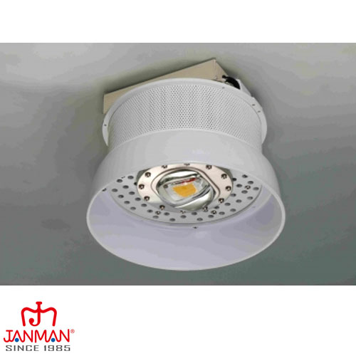 LED Light