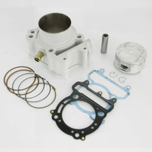 Engine Parts-SYM RV250