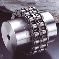 Roller Chain Coupling