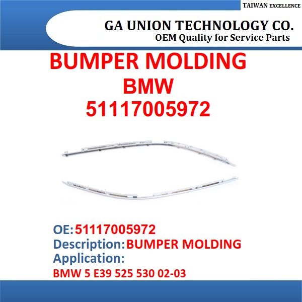 BUMPER MOLDING-51117005972