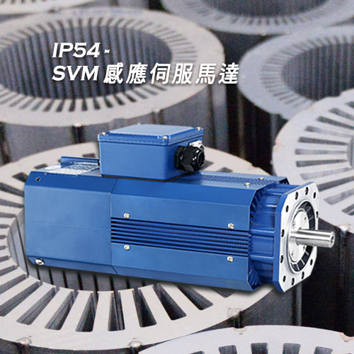 SVM Servo Motor-IP54