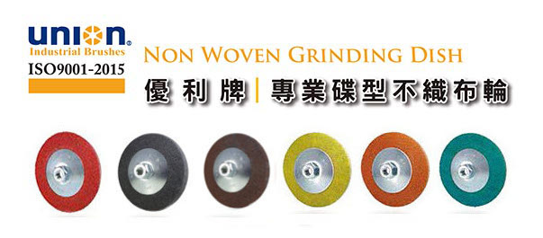 UNION Non woven grinding dish