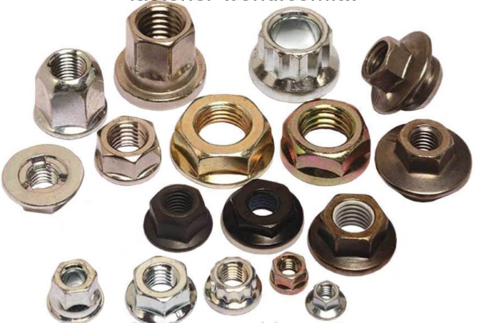 Flange Nuts／Hex Nuts