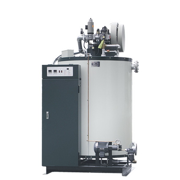 Dual Fuel Hot Water Boiler-DW-600S