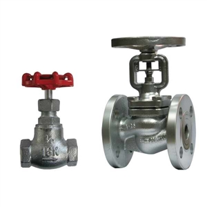 Globe Valve