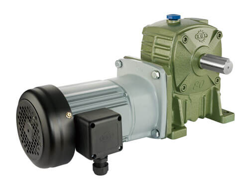 Two-Stage Worm Gear Reducer (Worm-Gear)-BGFM