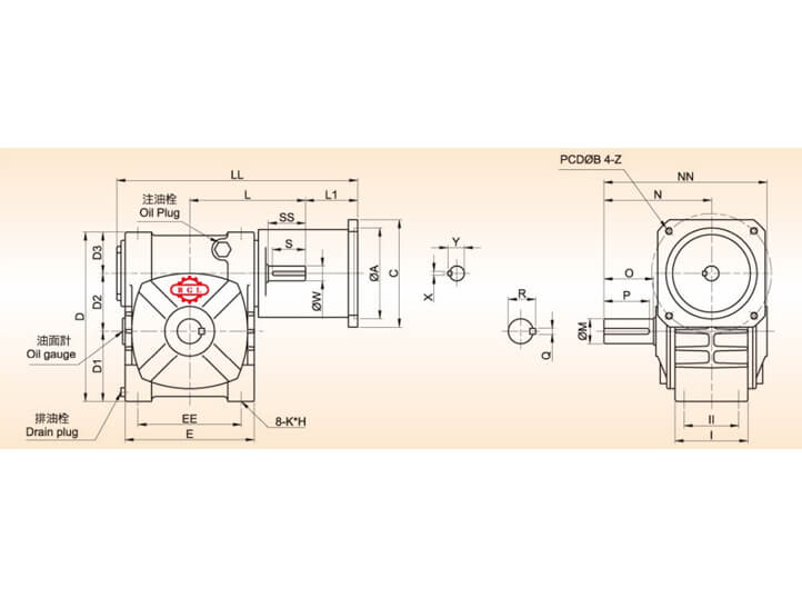 Double Lead Worm Gear Reducer-ASF