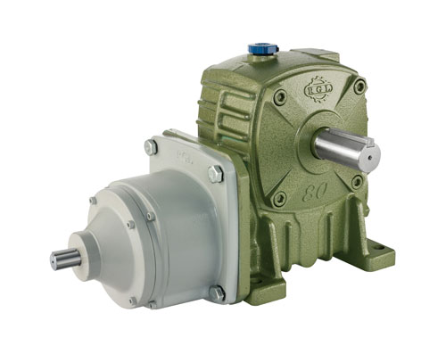 Two-Stage Worm Gear Reducer (Worm-Gear)-BGFD