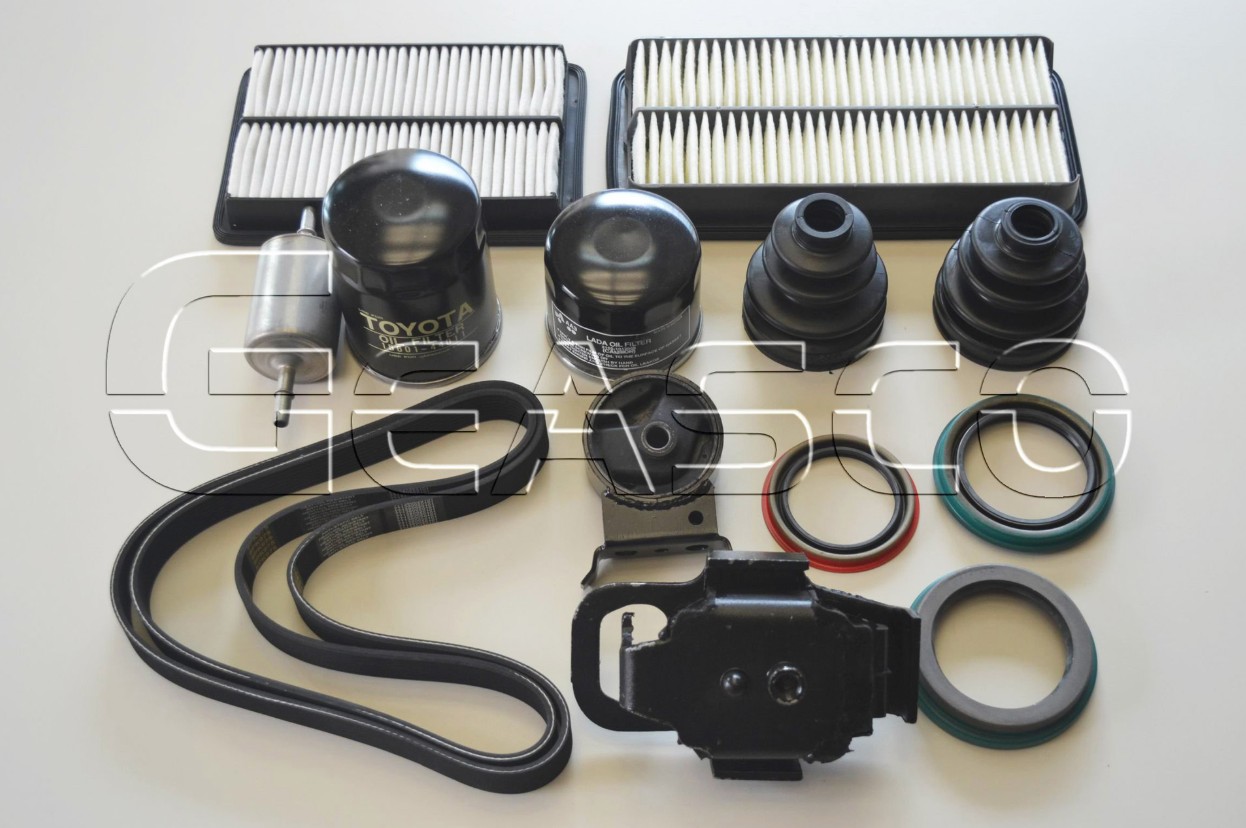 Oil Seal Kit