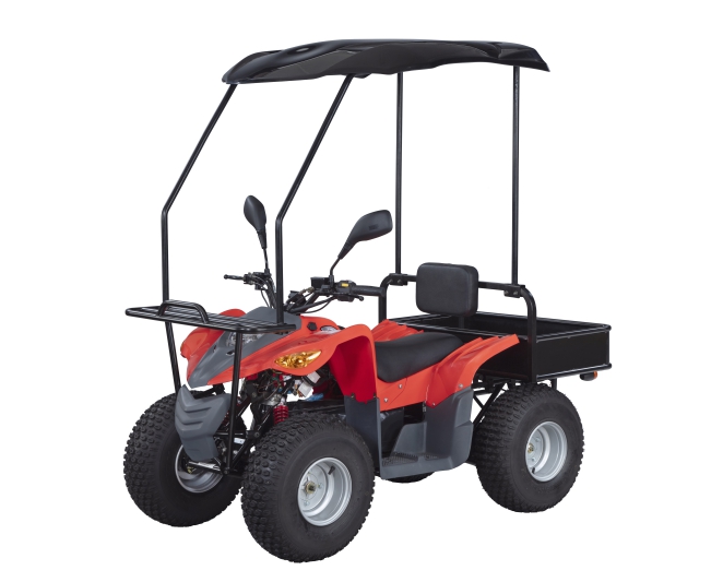 E-T2000 Delivery ATV(2000W 72V)-E-T2000 Delivery ATV(2000W 72V)