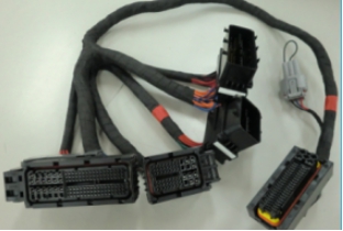 ECU system wire harness