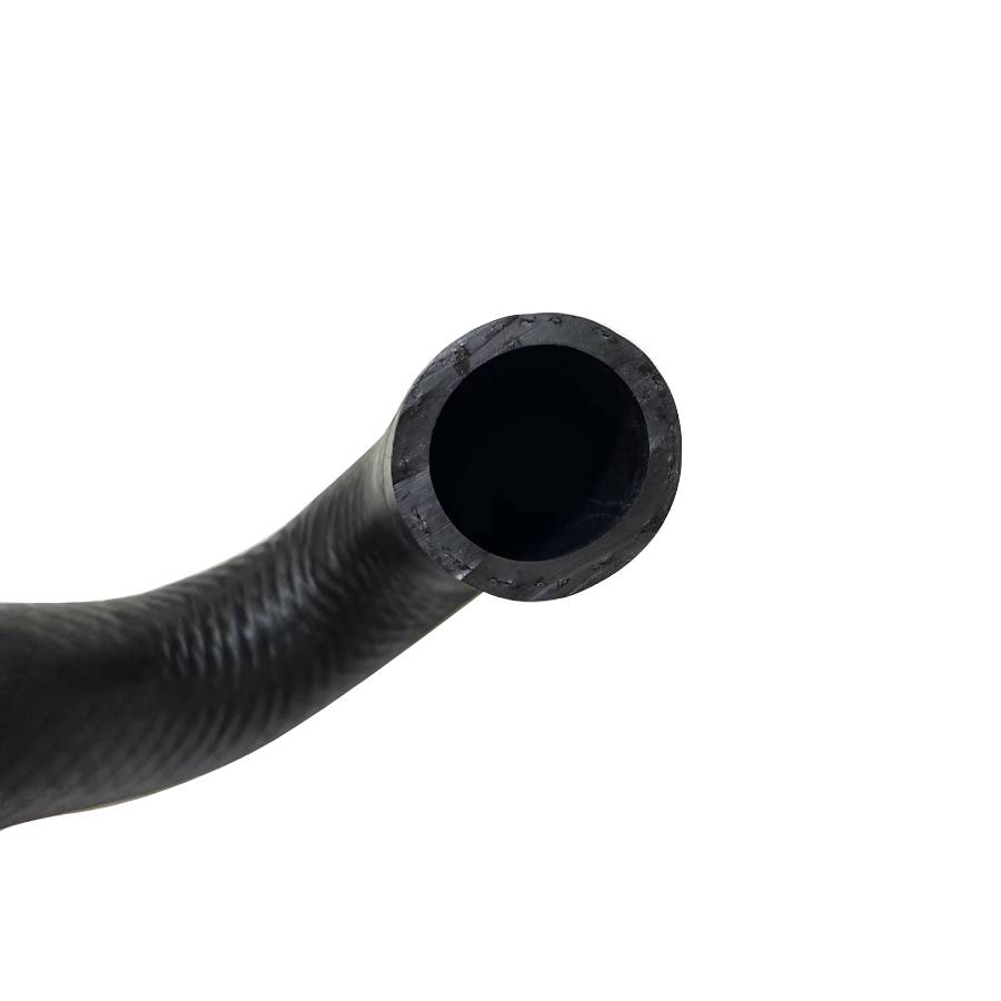 RADIATOR UPPER R. HOSES 