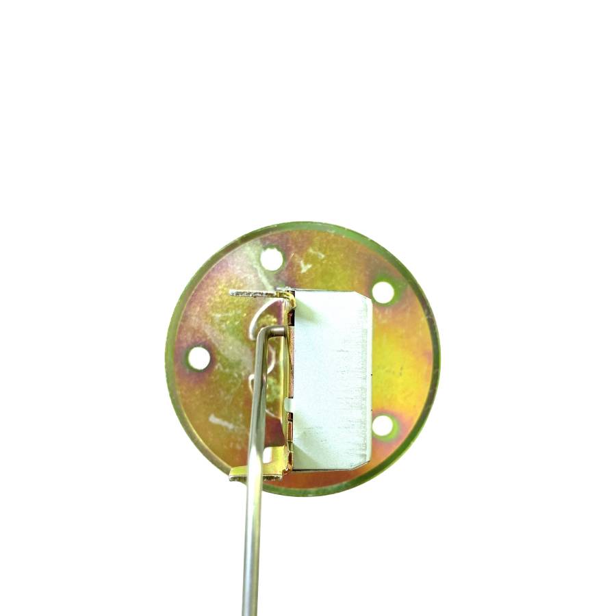 Fuel Pump and Gauge Assy 