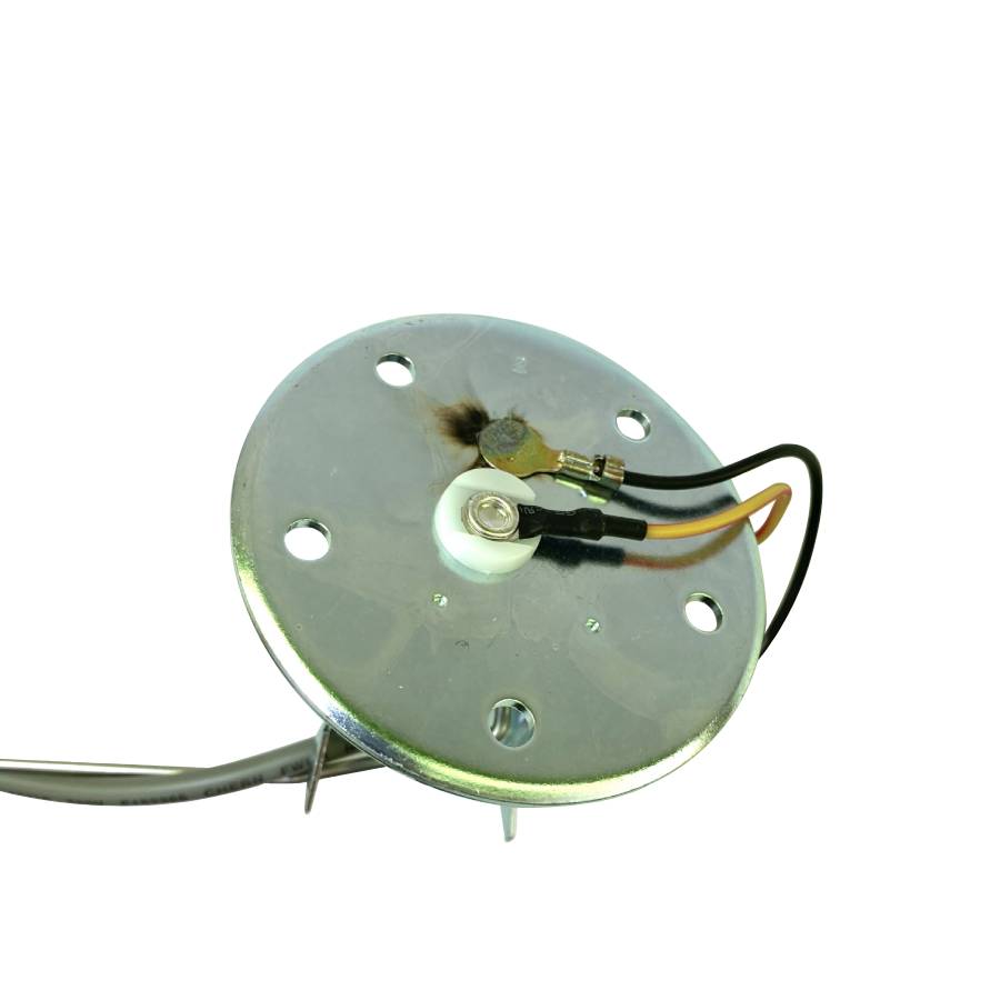 Fuel Pump and Gauge Assy 