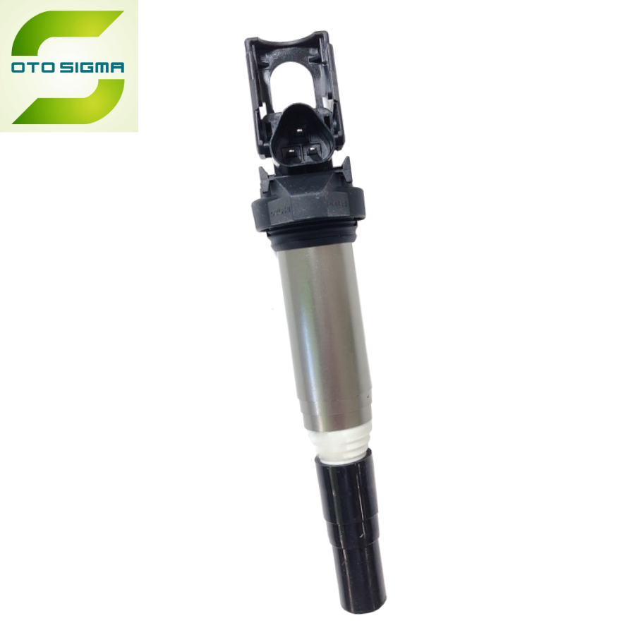 Delphi Ignition Coil 