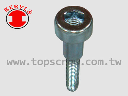 Cylinder Screw