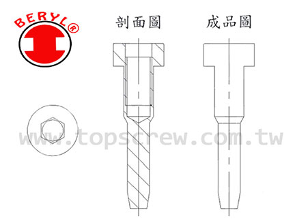 Cylinder Screw