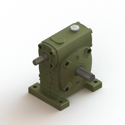 Worm Gear Reducer