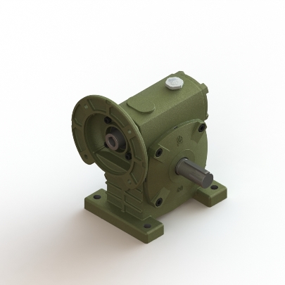 Worm Gear Reducer