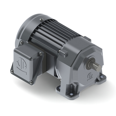 Small Gear Motor