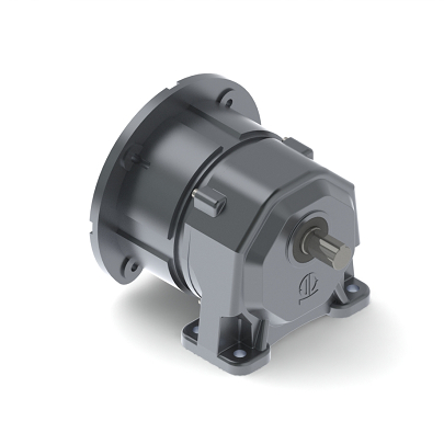 Small Gear Reducer Motor