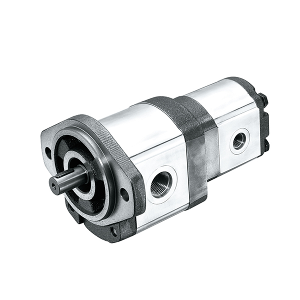 21D／21T Series Multiple Pumps-21D/21T