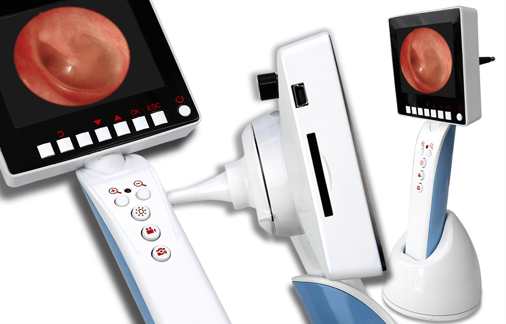 ENT Endoscope With Thermometer