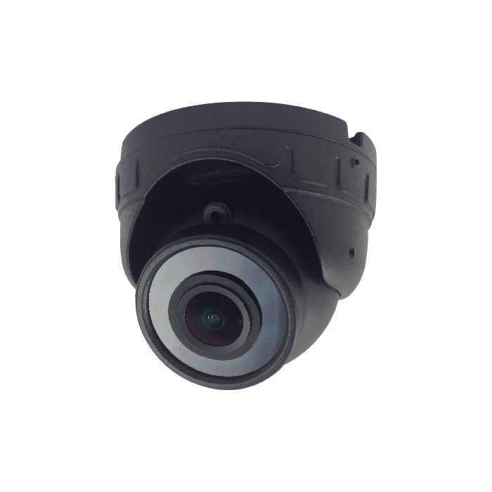 INSIDE VISION／CEILING MOUNT CAMERA-CV-DC2001 series