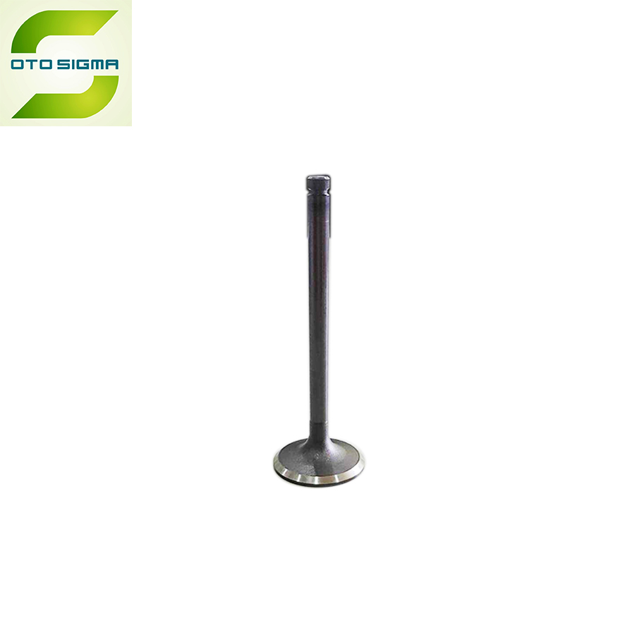 Engine Valves 