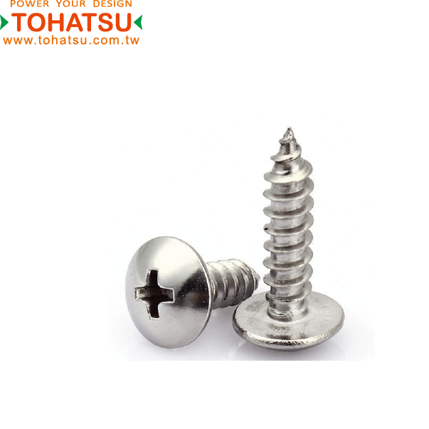 Round head self-tapping screw (Material: SUS304)-BWBQP