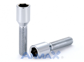 Acorn Tuner Lug Bolt-SB 0106