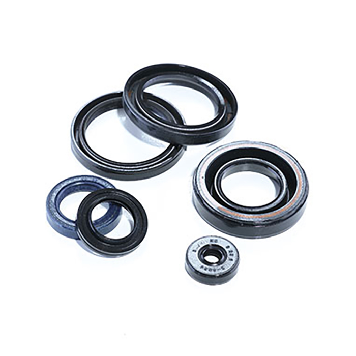 Oil seal