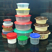 Plastic Preservation Box Mould