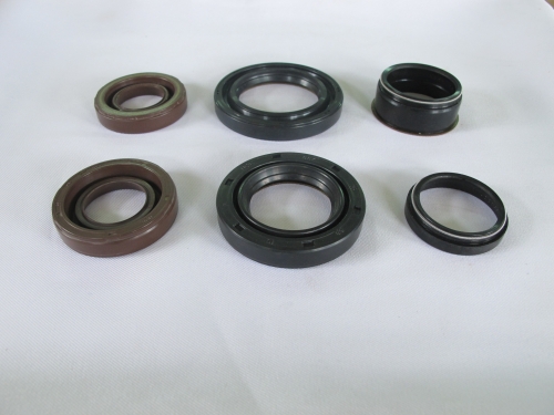 OIL SEAL-NBR/VI/AC