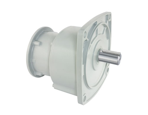 Vertical-Motor Flange Type