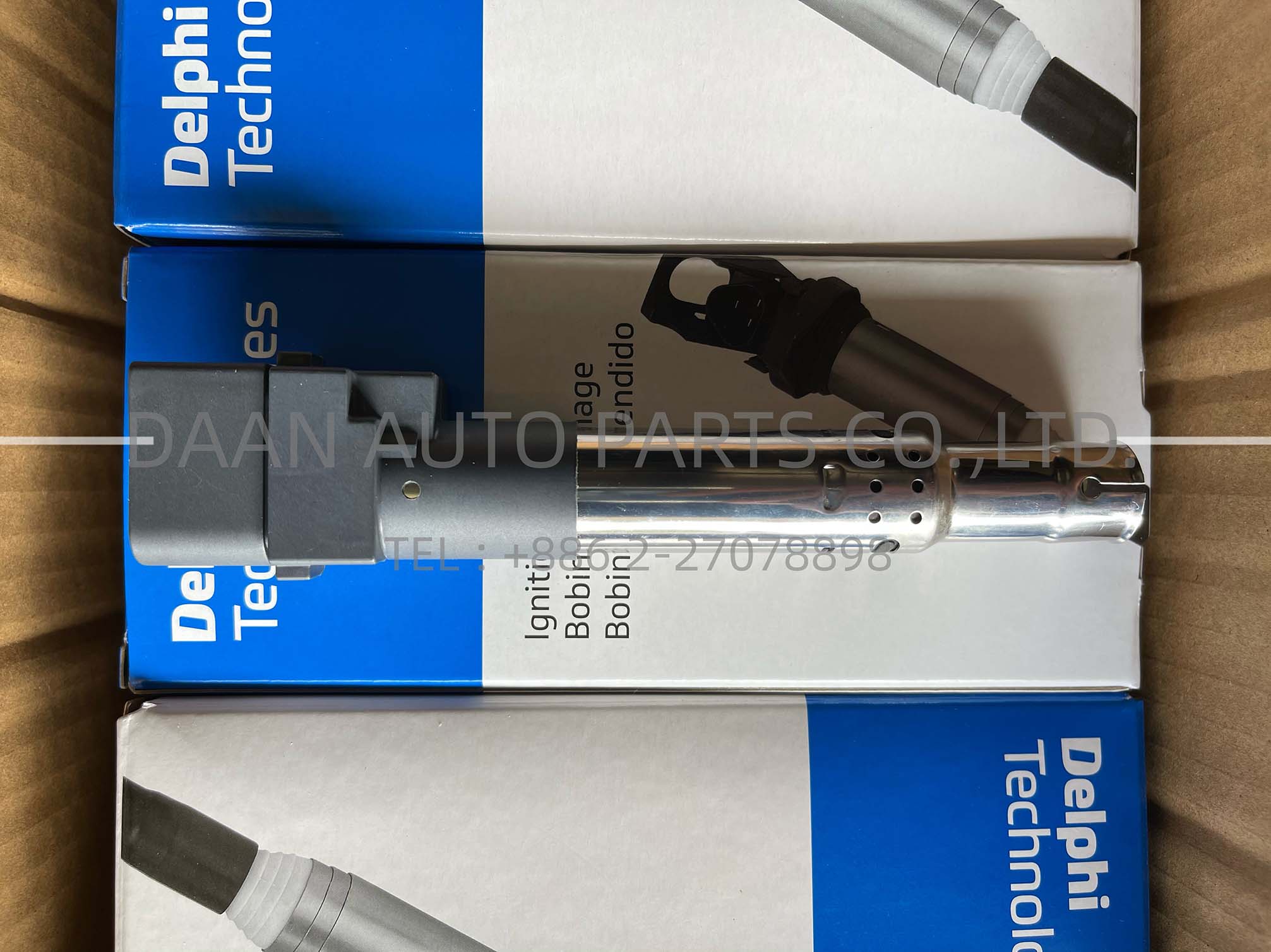 DELPHI-GN10443